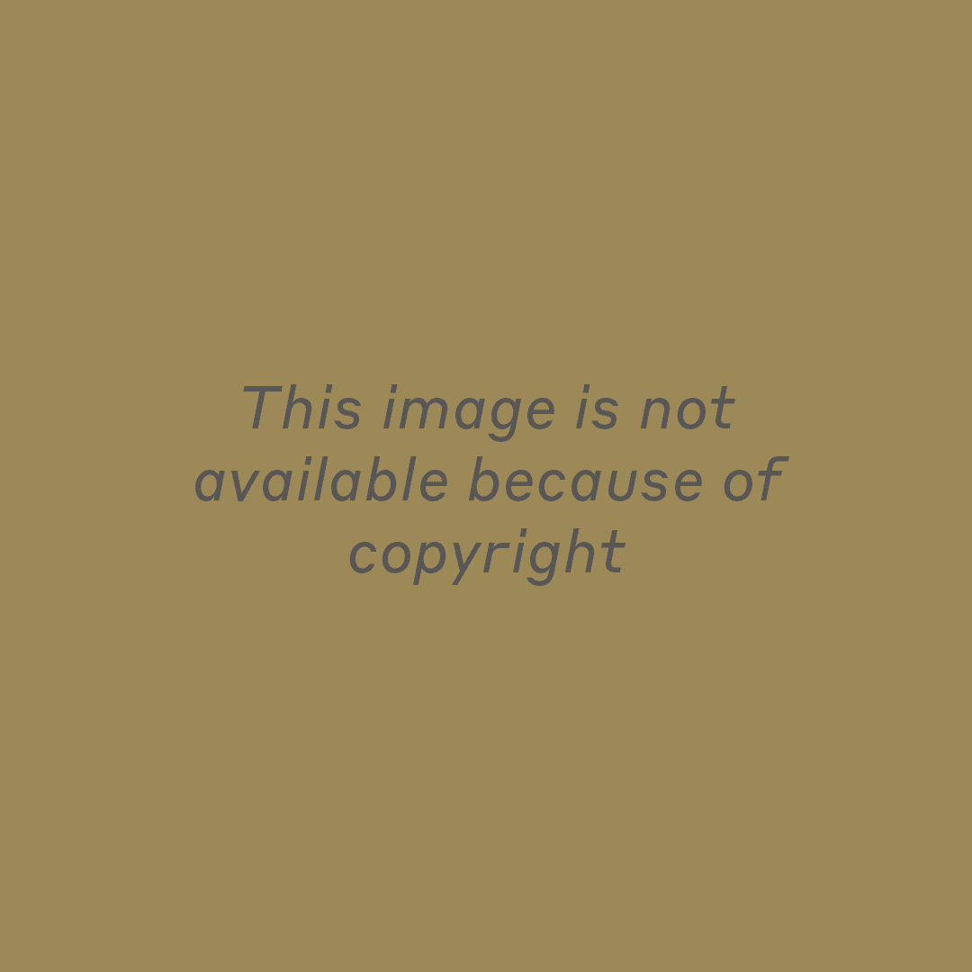 This image is not available because of copyright