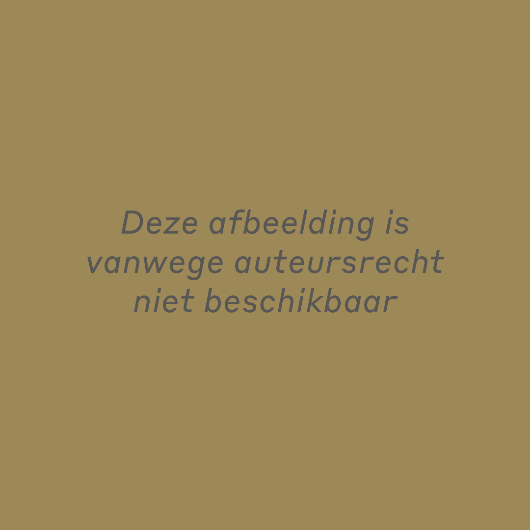 Deze afbeelding is vanwege auteursrecht niet beschikbaar