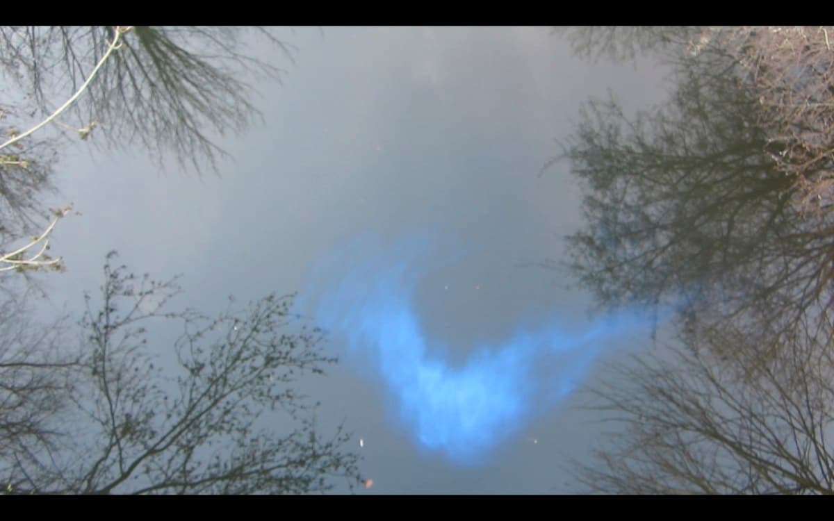 Sanne Vaassen, Wolk, 2013, filmprojectie, 59 sec. loop. Collectie Bonnefanten.