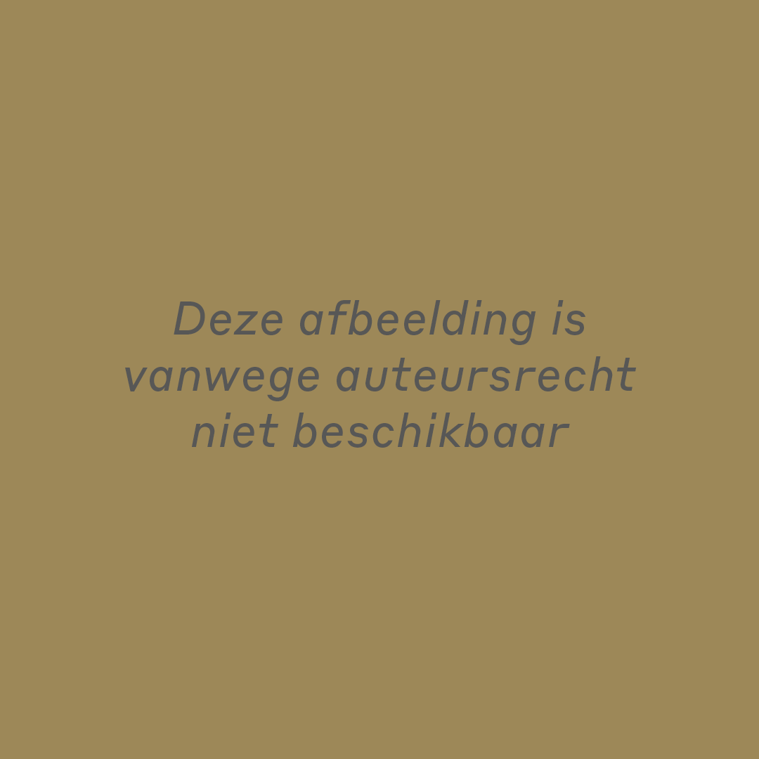 Deze afbeelding is vanwege auteursrecht niet beschikbaar
