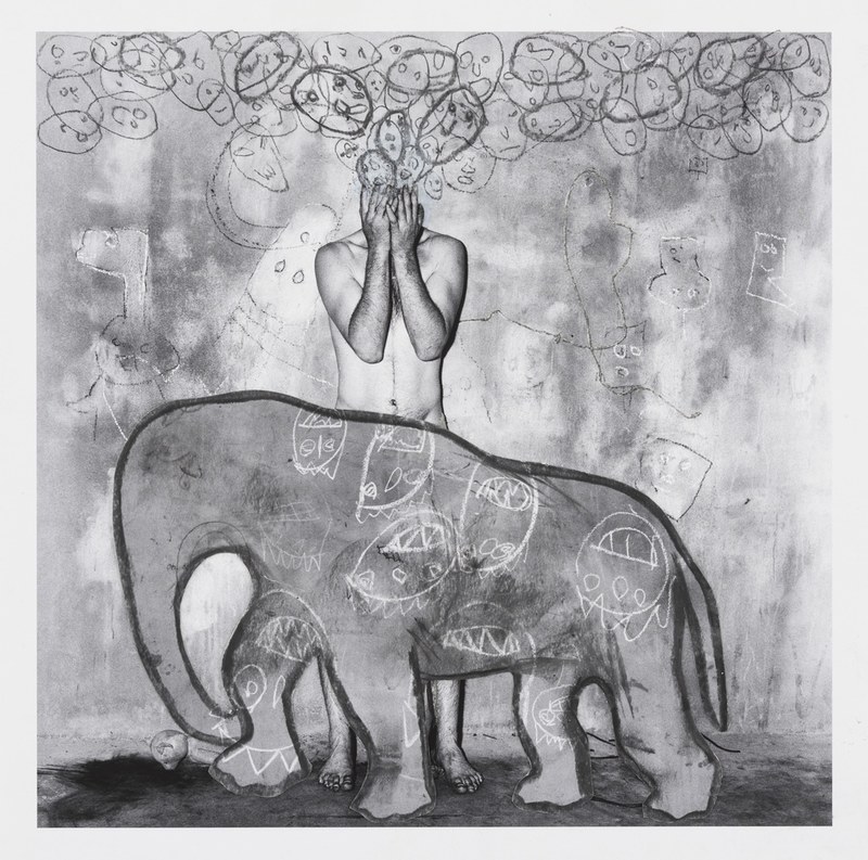 Hans Lemmen and Roger Ballen: Unleashed